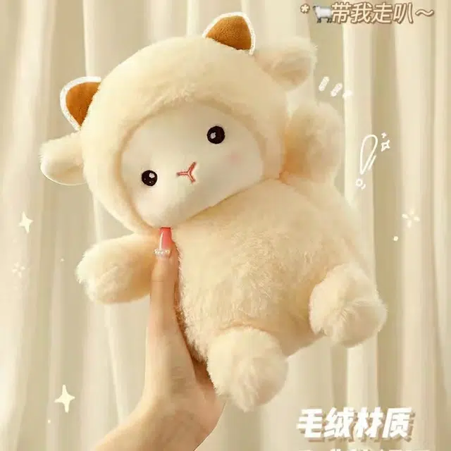 23cm