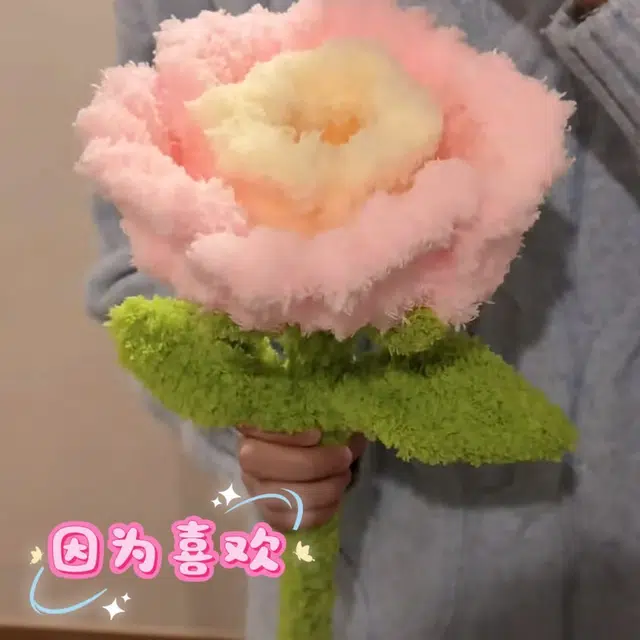 DIY