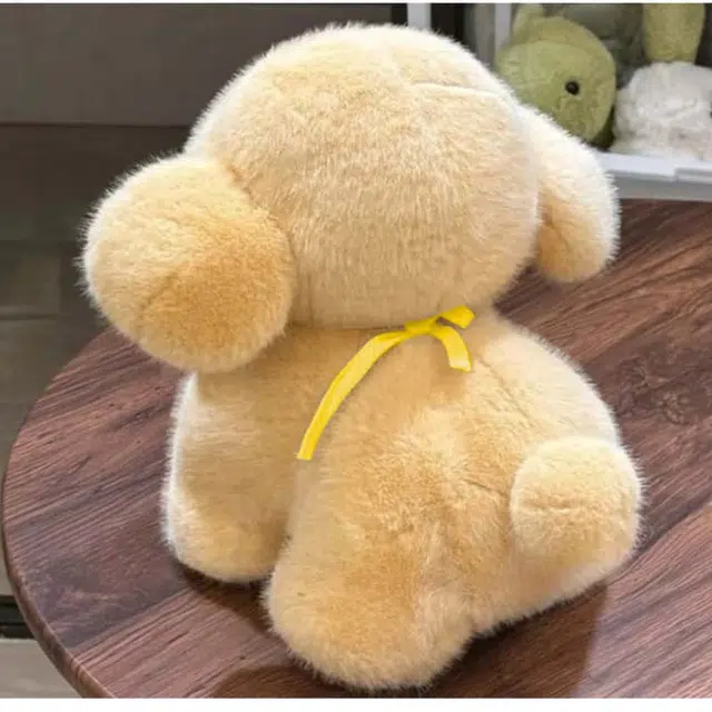 25cm