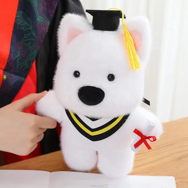 28cm