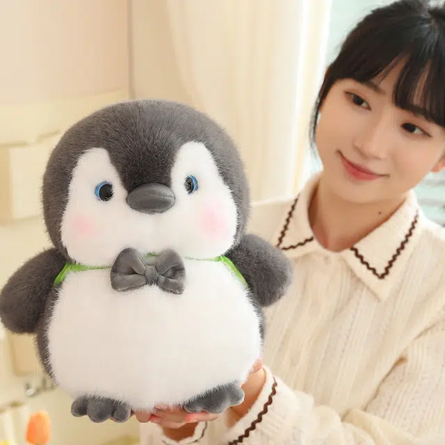 25cm35cm