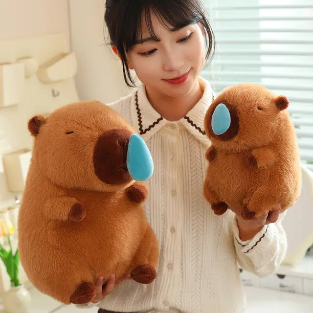 22cm33cm