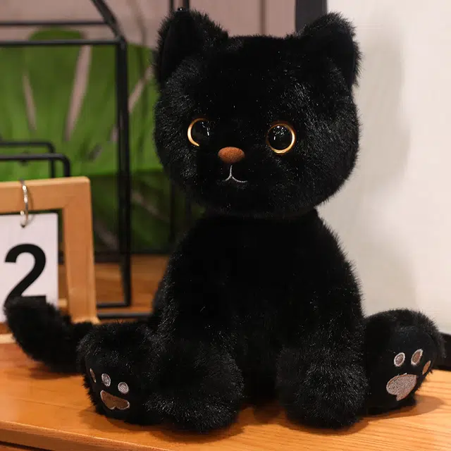 23cm