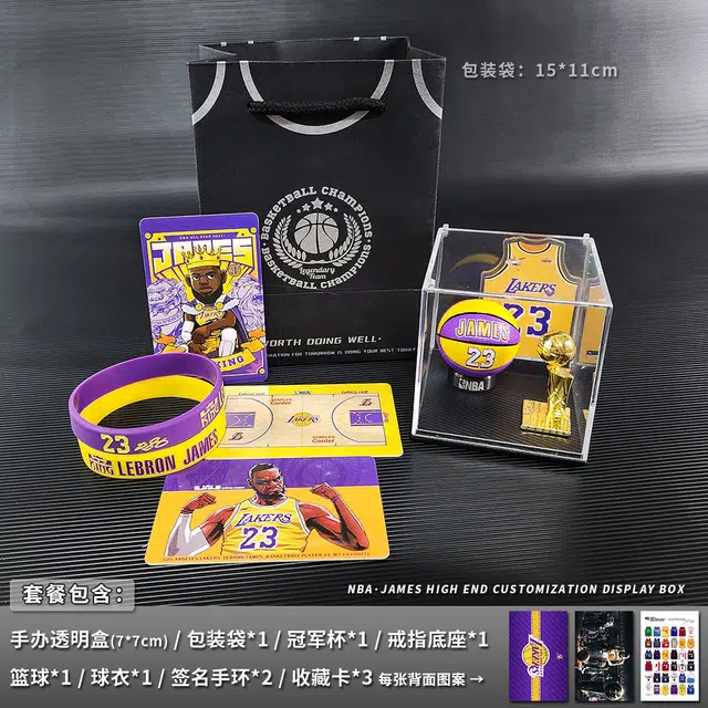 乐智由我 篮球创意周边球星球迷手办 成品模型