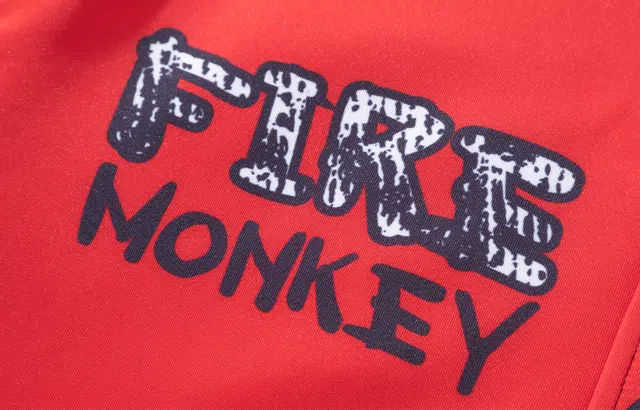 FireMonkey