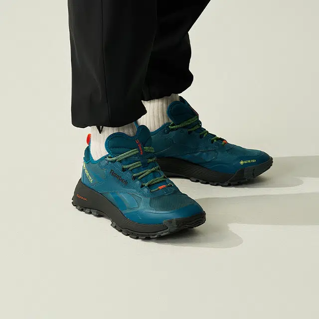 Reebok DMX Trail GTX Blue