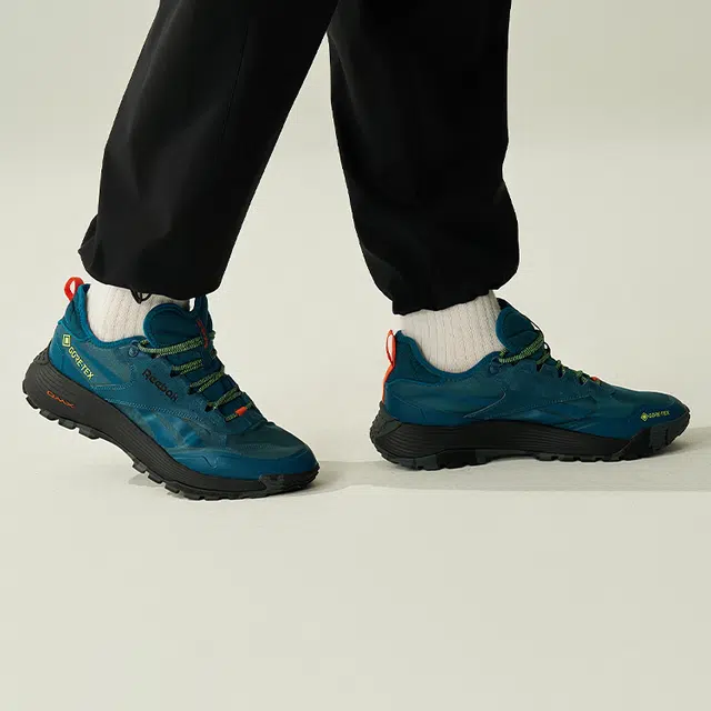 Reebok DMX Trail GTX Blue