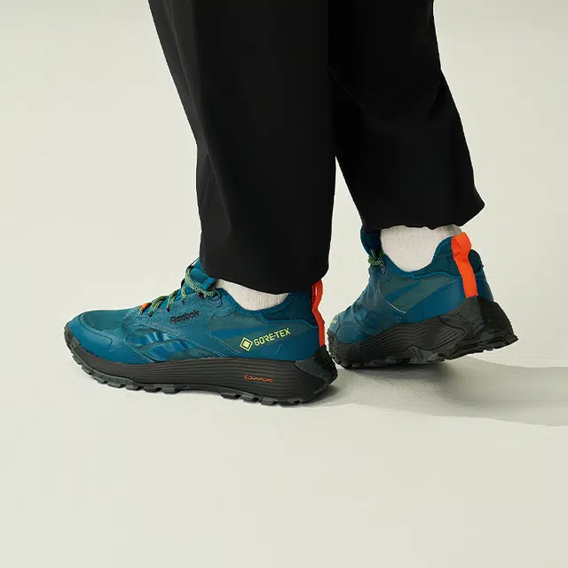 Reebok DMX Trail GTX Blue