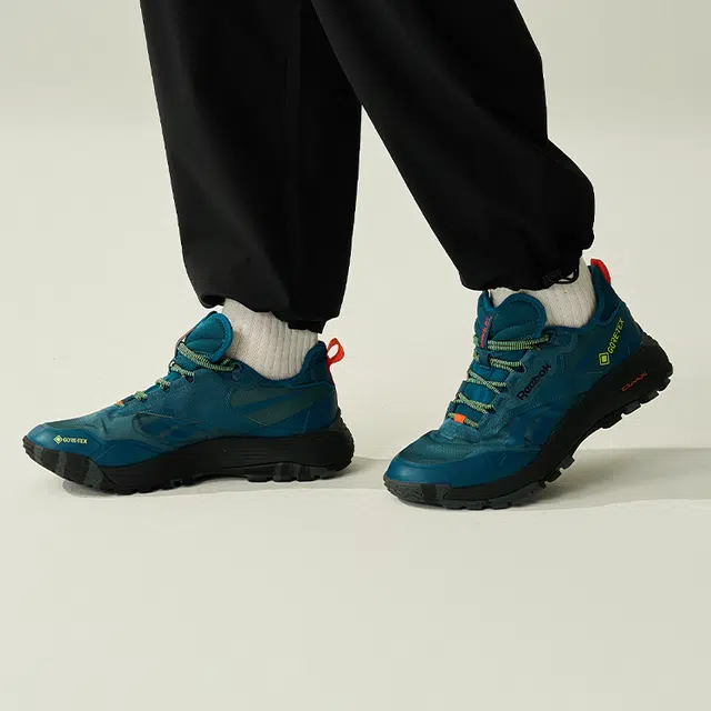 Reebok DMX Trail GTX Blue