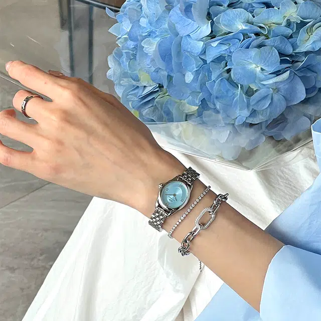 Daniel Wellington DW DW OPHELIA 25.5x22mm