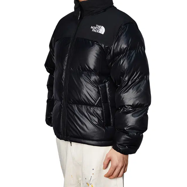 THE NORTH FACE Nuptse 811