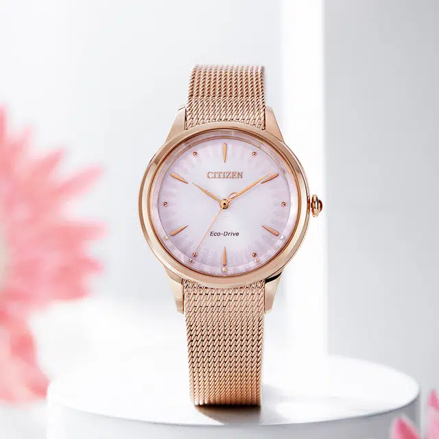 CITIZEN 33mm EM0819-80X