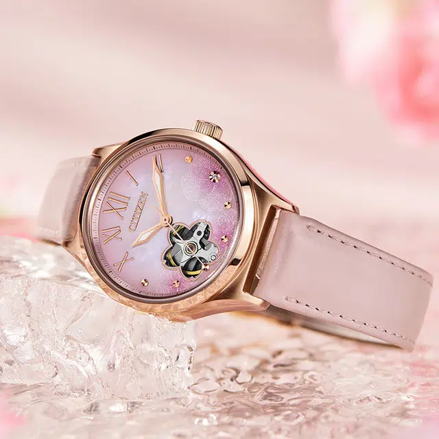 CITIZEN PC1017-70Y