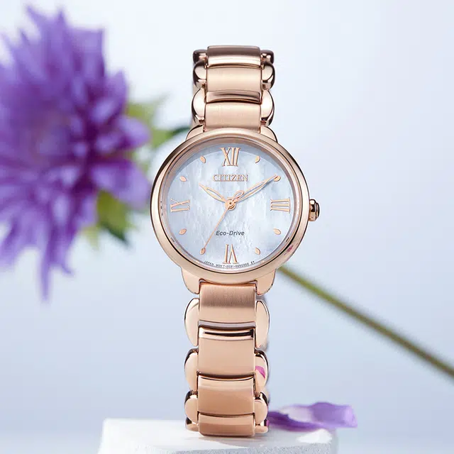 CITIZEN EM0928-84D