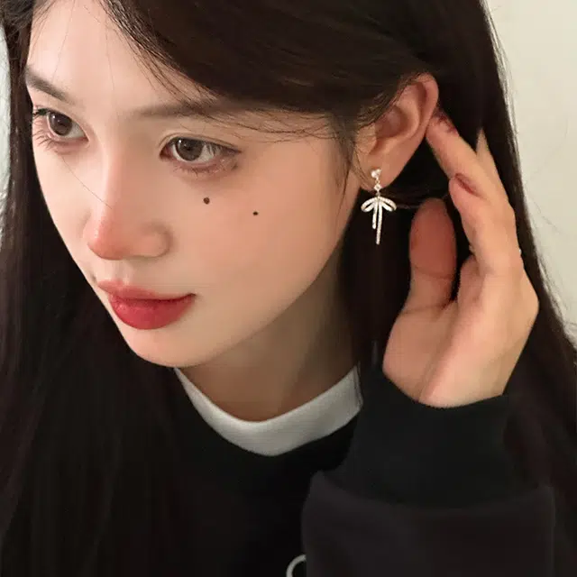 EAR PARTNER 925