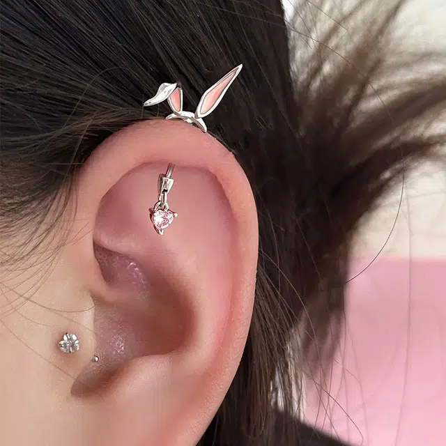 EAR PARTNER