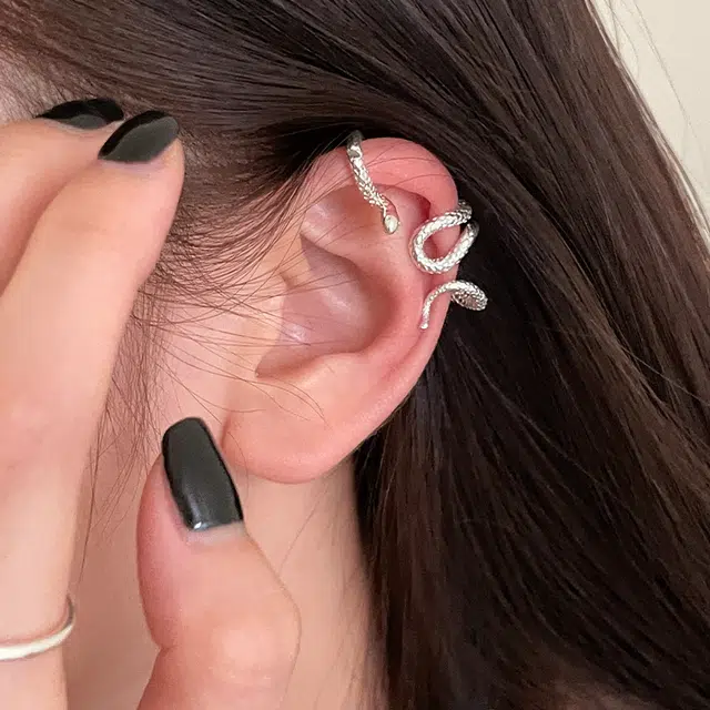 EAR PARTNER