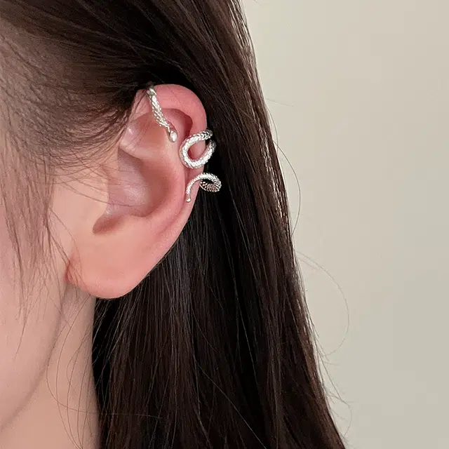 EAR PARTNER