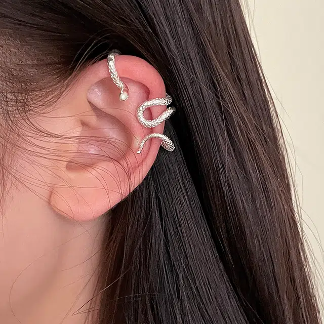 EAR PARTNER