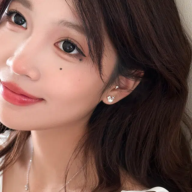 EAR PARTNER 925