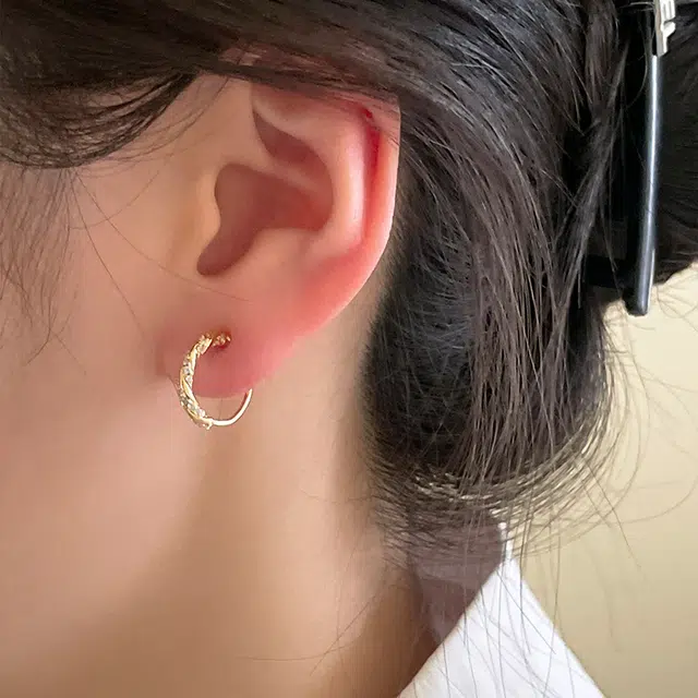 EAR PARTNER