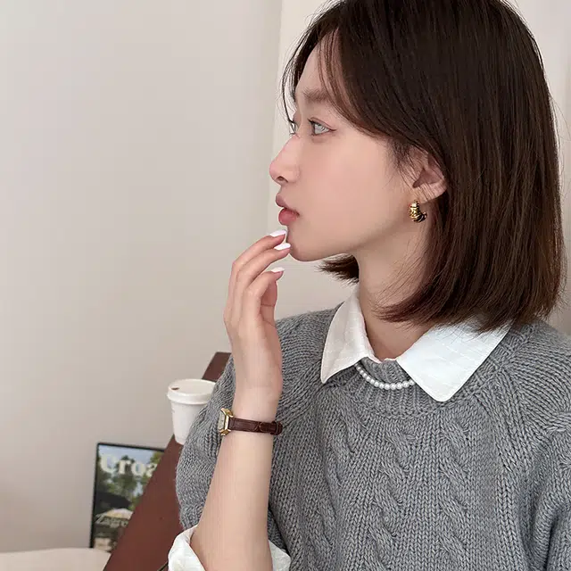 EAR PARTNER ins