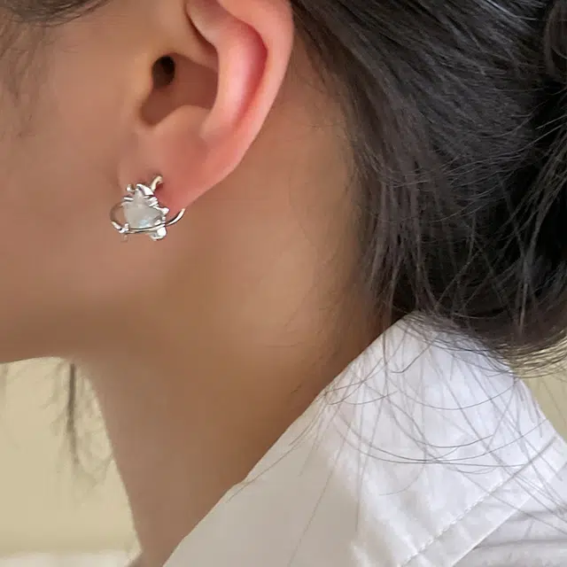 EAR PARTNER