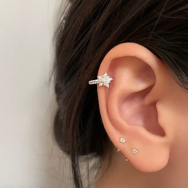 EAR PARTNER 925