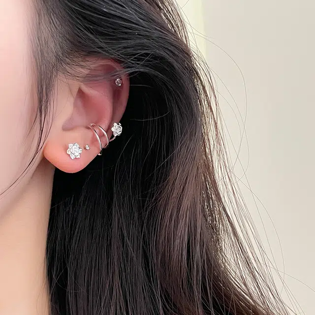 EAR PARTNER