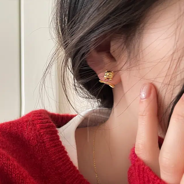 EAR PARTNER