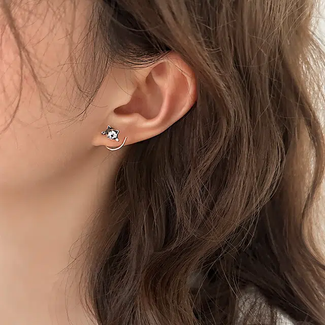 EAR PARTNER