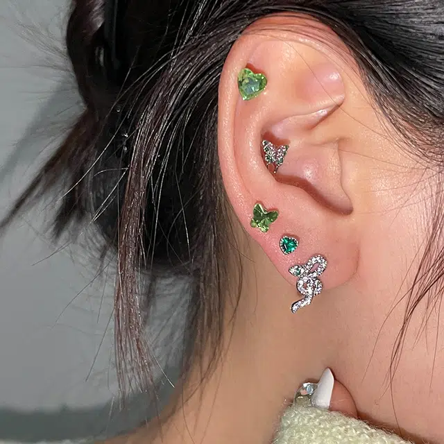 EAR PARTNER