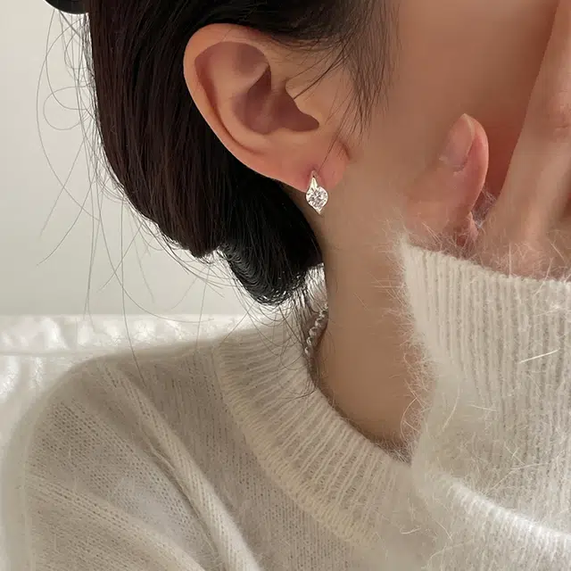 EAR PARTNER