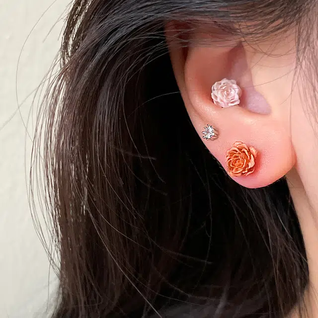 EAR PARTNER