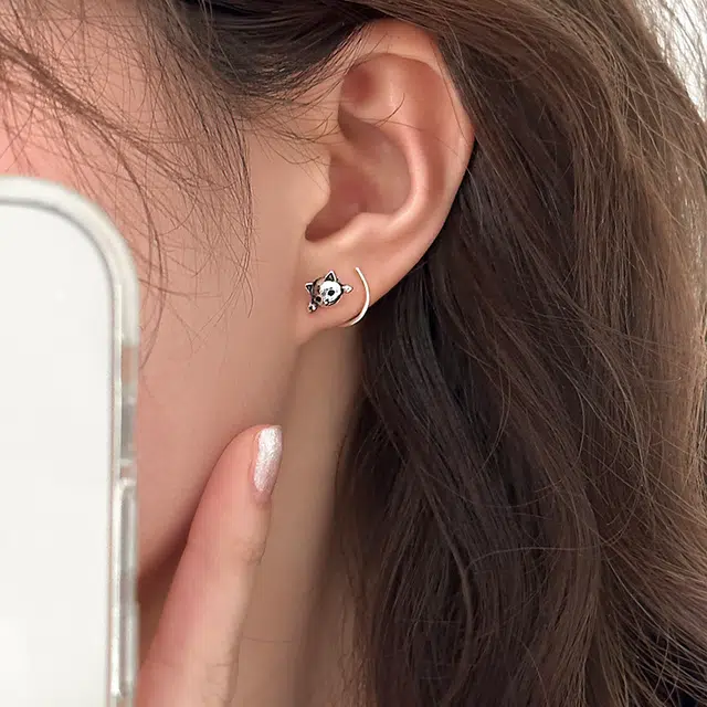 EAR PARTNER