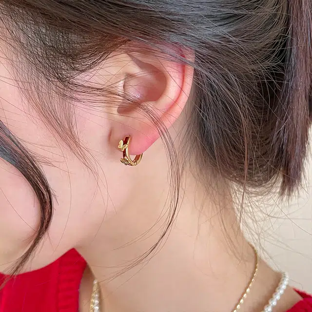 EAR PARTNER