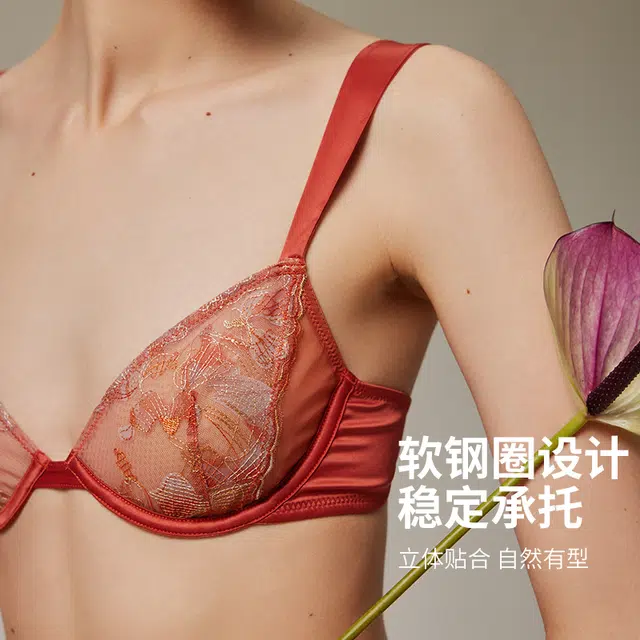 弗利少女 法式网纱刺绣蕾丝文胸软钢圈性感小胸内衣裤套装 女款 赤霞色