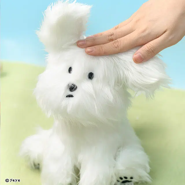 20cm