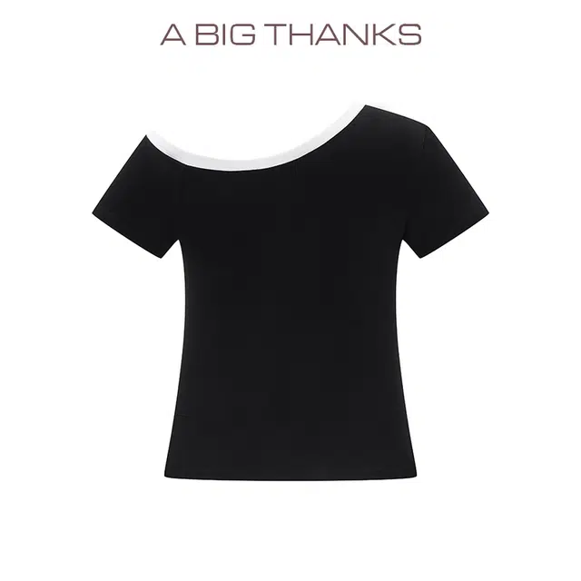 abigthanks T