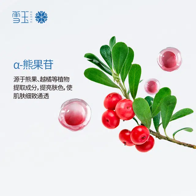 雪玉 雪玉熊果苷锁水保湿晚霜 保湿