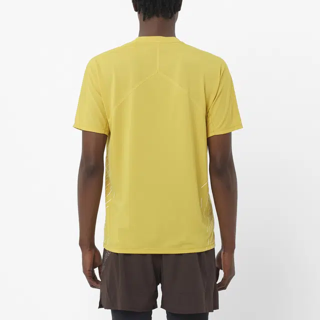 SALOMON T