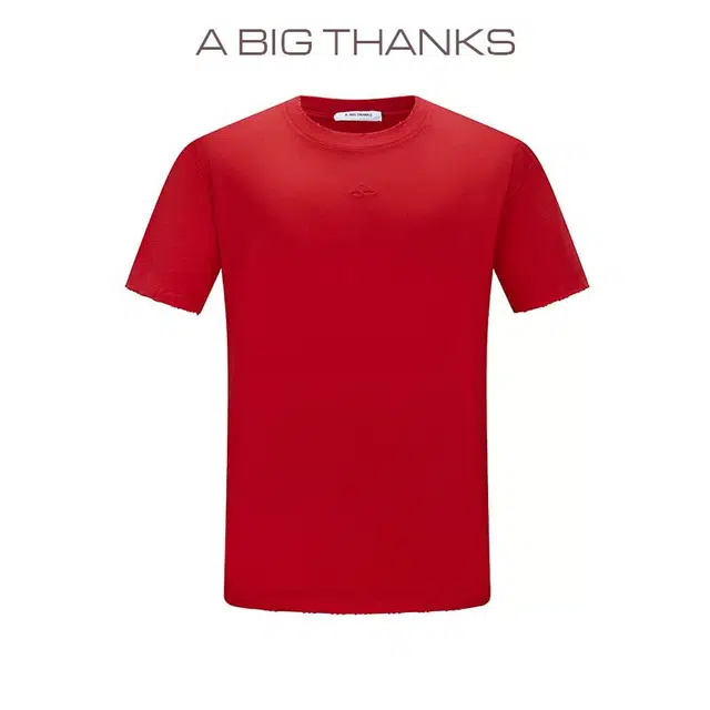 abigthanks T