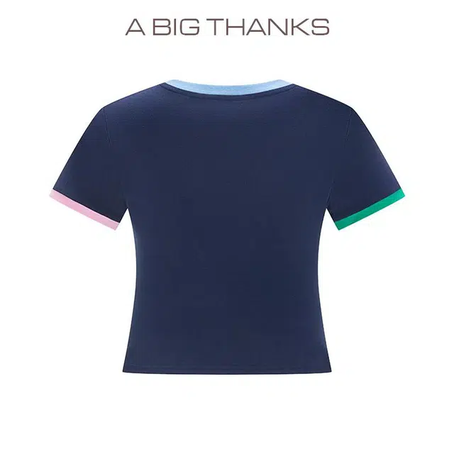 abigthanks T