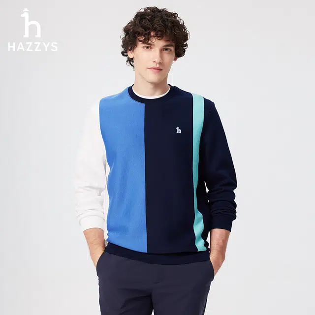 HAZZYS