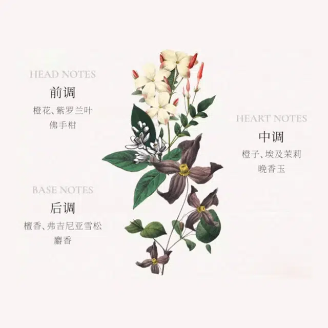 EDT 100ml