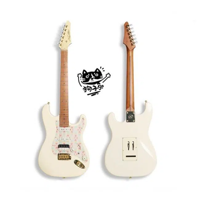 JD Guitars ST-RM90 Jakub