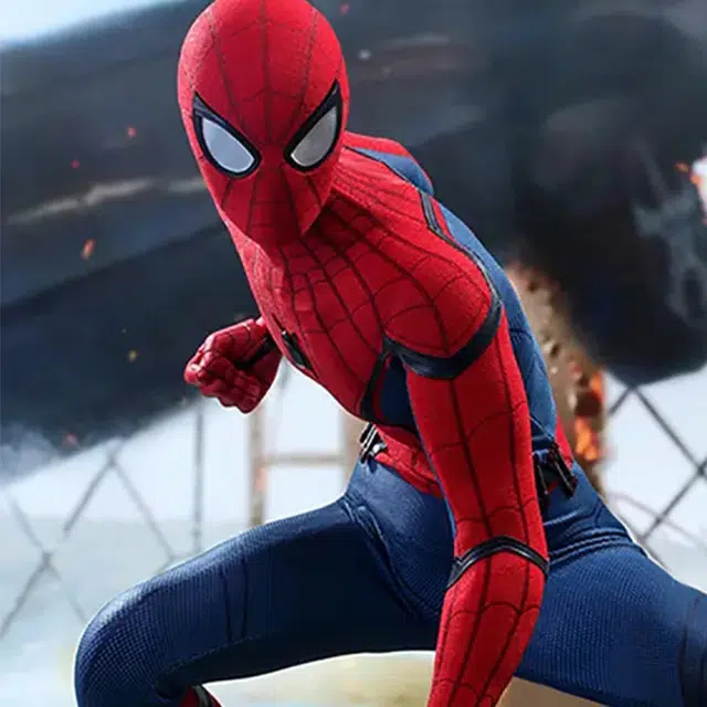 Hot Toys 14 43.5cm