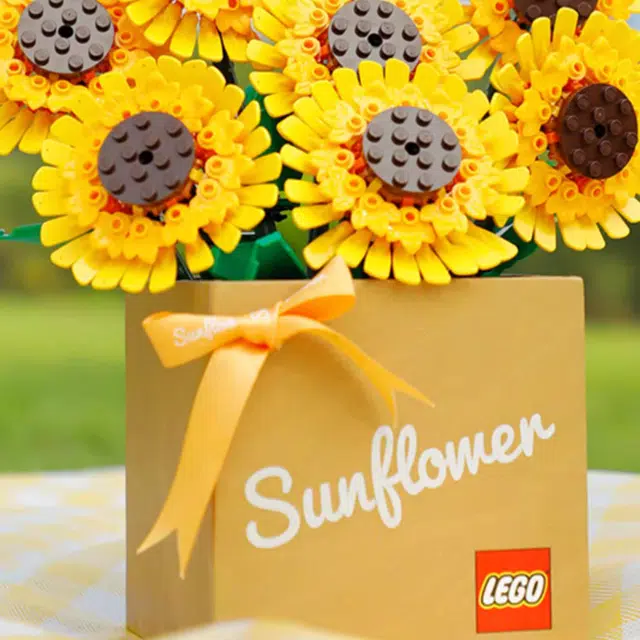 LEGO 764pcs 71043-179439