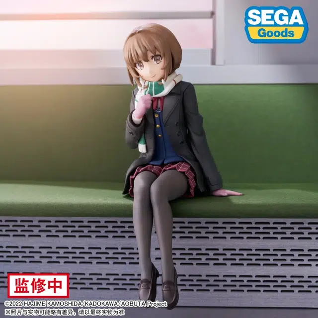 SEGA 14cm