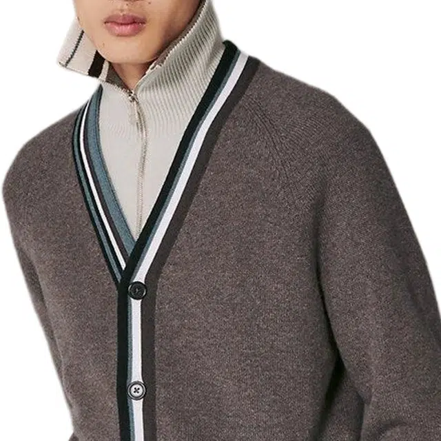 HERMES V